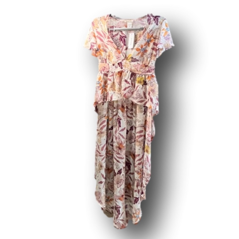 Francesca’s Rolla Coaster Floral Sheer High Low Maxi Top